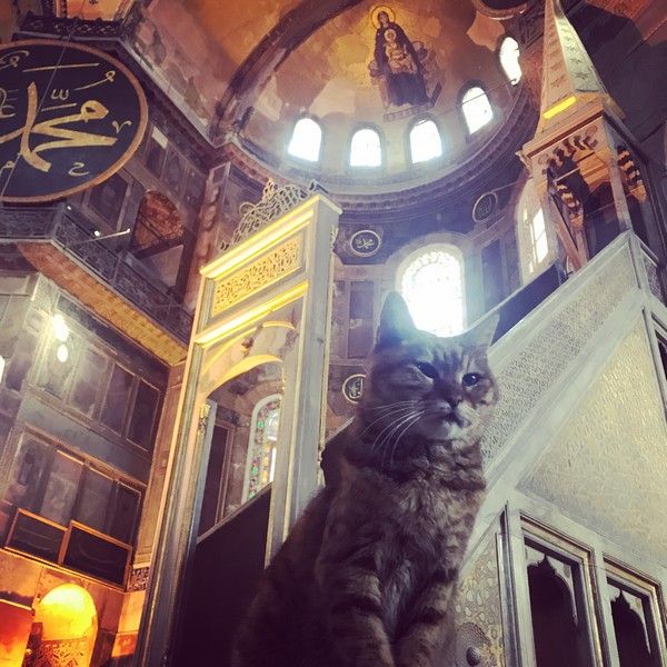 Turkey Tours from the UK: Complete Guide for British Travellers (2026) - Turkey travel guide, tips and tour insights | My Turkey Adventure