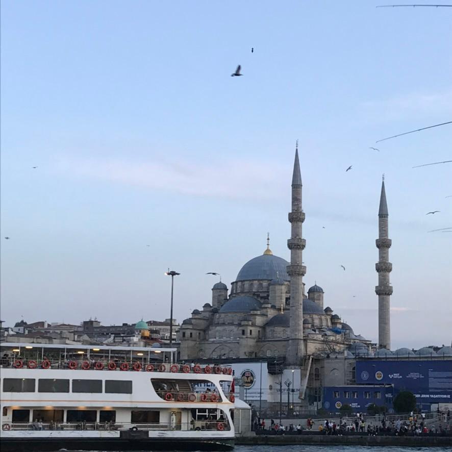 Best Bosphorus Cruise in Istanbul 2026: Public Ferry vs Private Yacht - Turkey travel guide, tips and tour insights | My Turkey Adventure