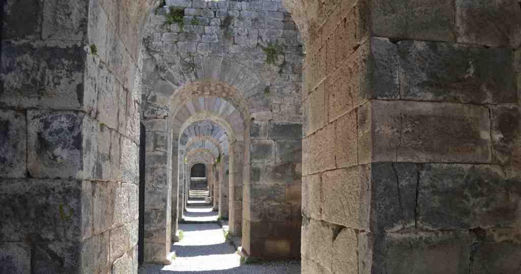 Meet the Signature Faculty: Academic Hosts Behind Every Signature Tour - Turkey travel guide, tips and tour insights | My Turkey Adventure