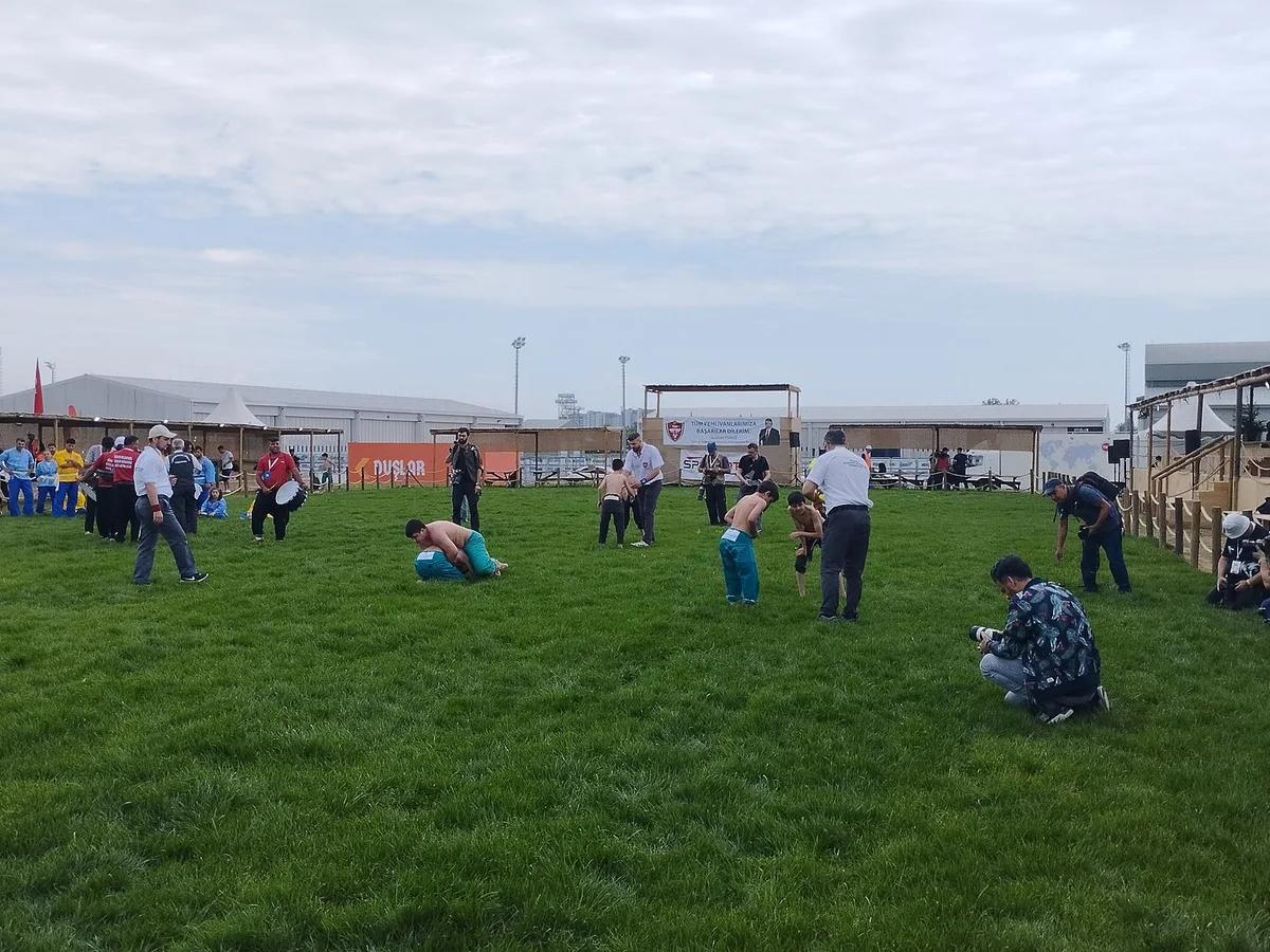 Kırkpınar Oil Wrestling: Türkiye's National Sport Explained - Turkey travel guide, tips and tour insights | My Turkey Adventure