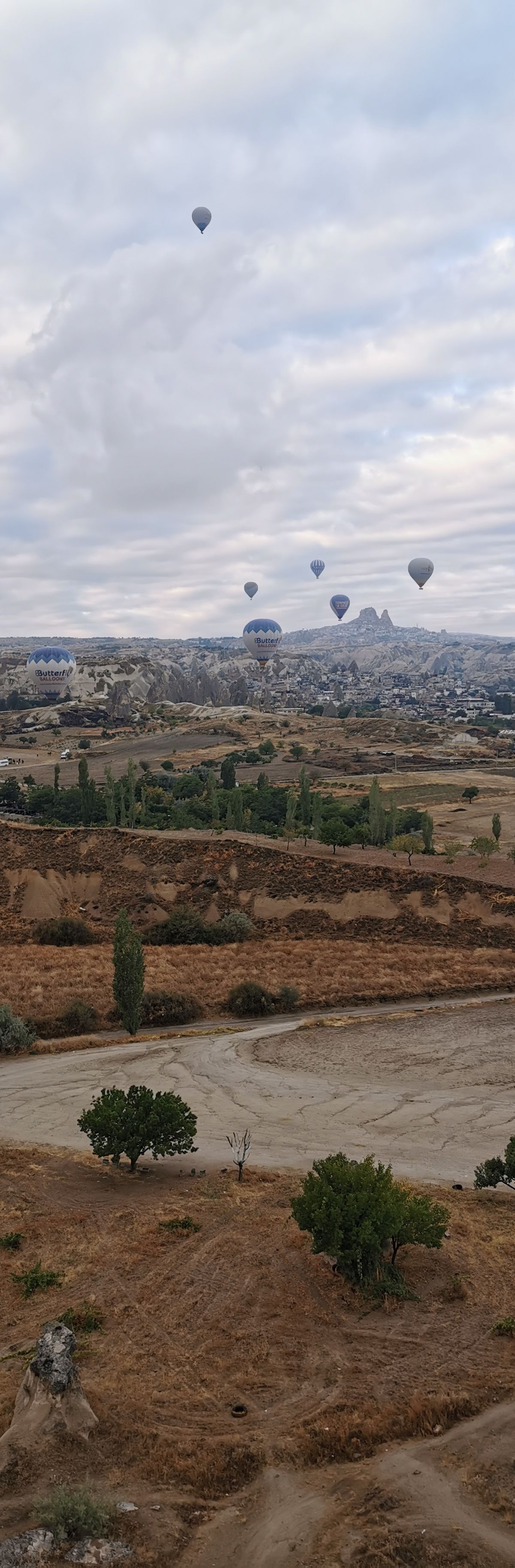 Turkey Tours from Saudi Arabia 2026: Halal-Friendly Private Itineraries - Turkey travel guide, tips and tour insights | My Turkey Adventure