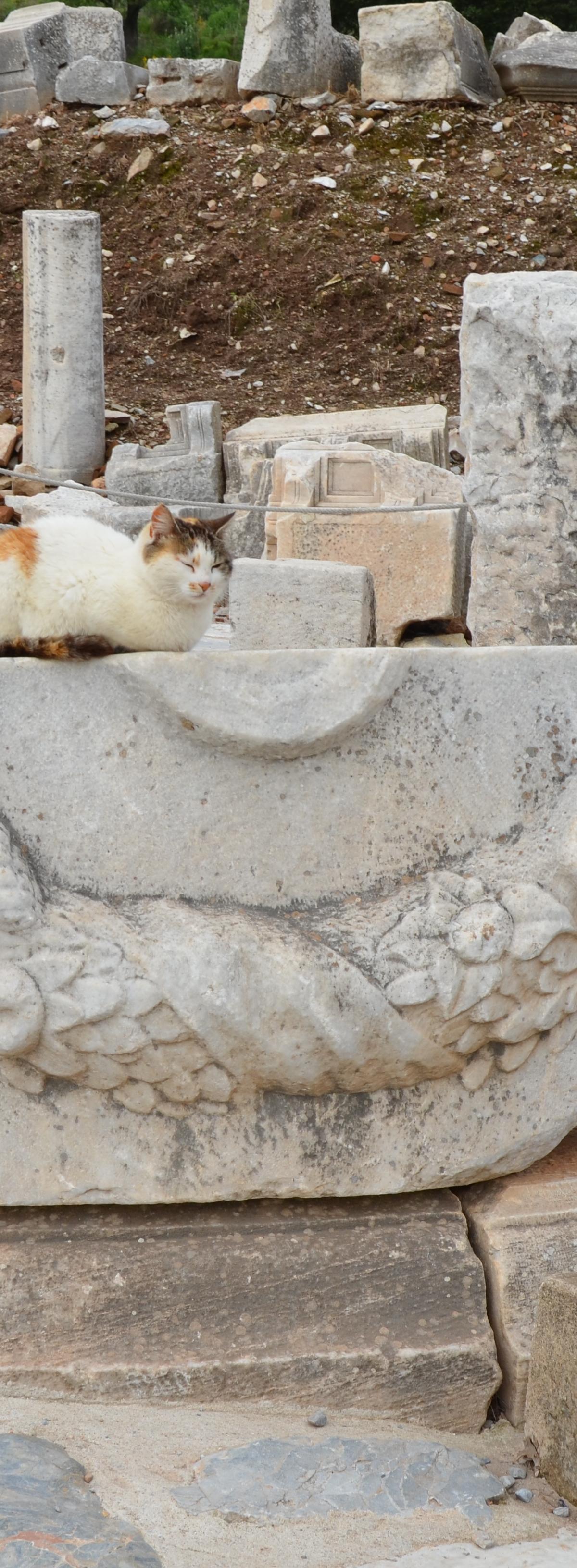 Turkey for Seniors: The Complete 2026 Guide for Travelers 60, 70 & 80+ - Turkey travel guide, tips and tour insights | My Turkey Adventure