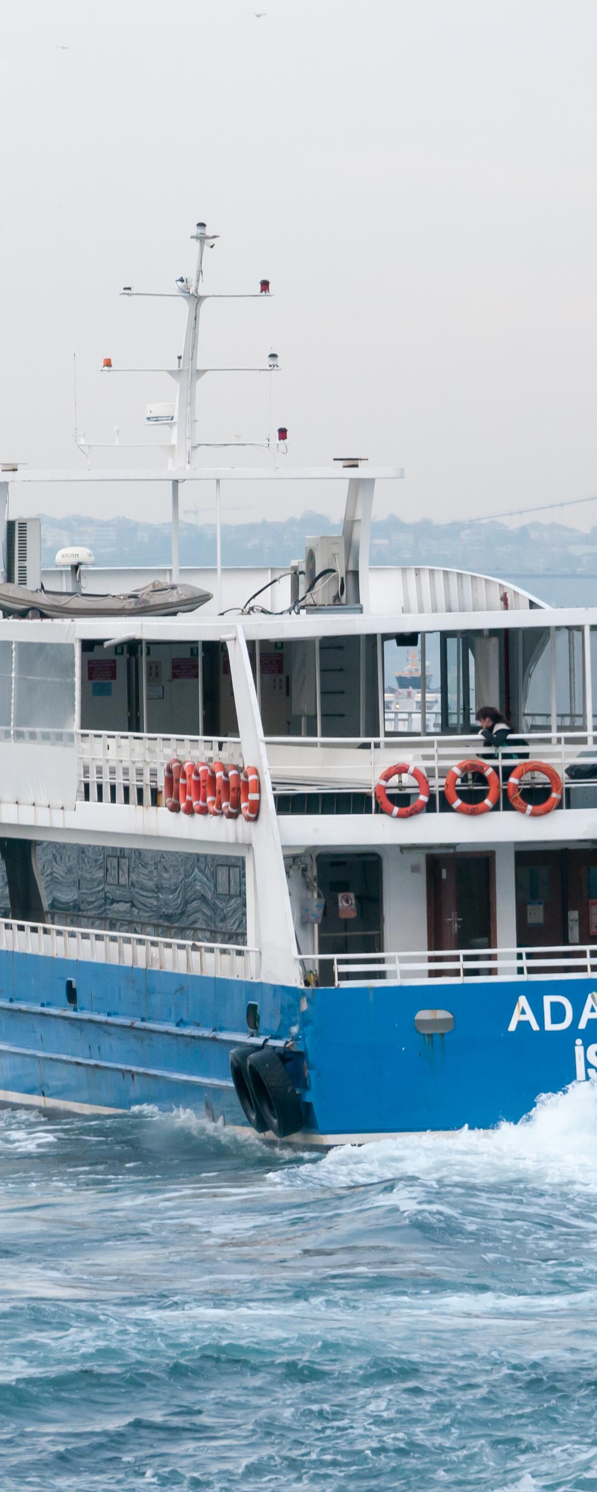 Private Bosphorus Dinner Cruise with Local Food Experts (2026) - Turkey travel guide, tips and tour insights | My Turkey Adventure