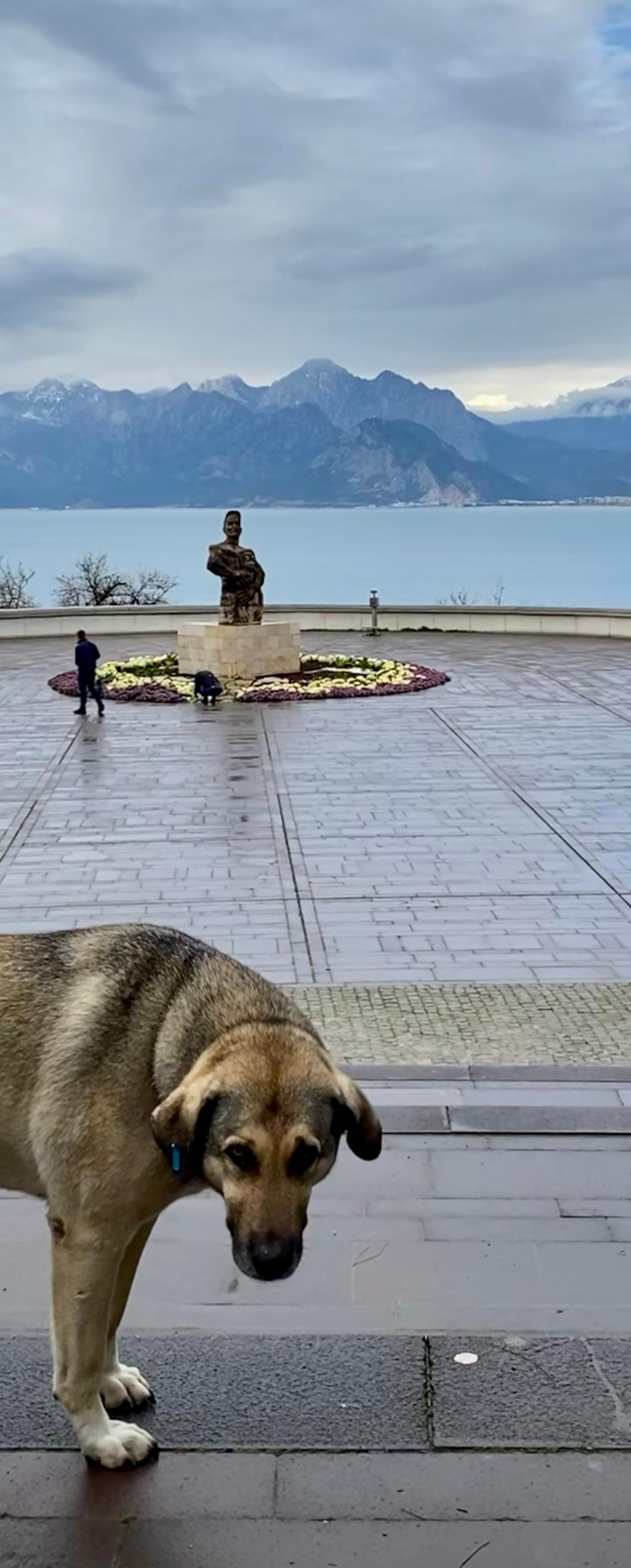 14 Day Grand Discovery of Turkey Tour 2026: Full Itinerary, Map & Price - Turkey travel guide, tips and tour insights | My Turkey Adventure