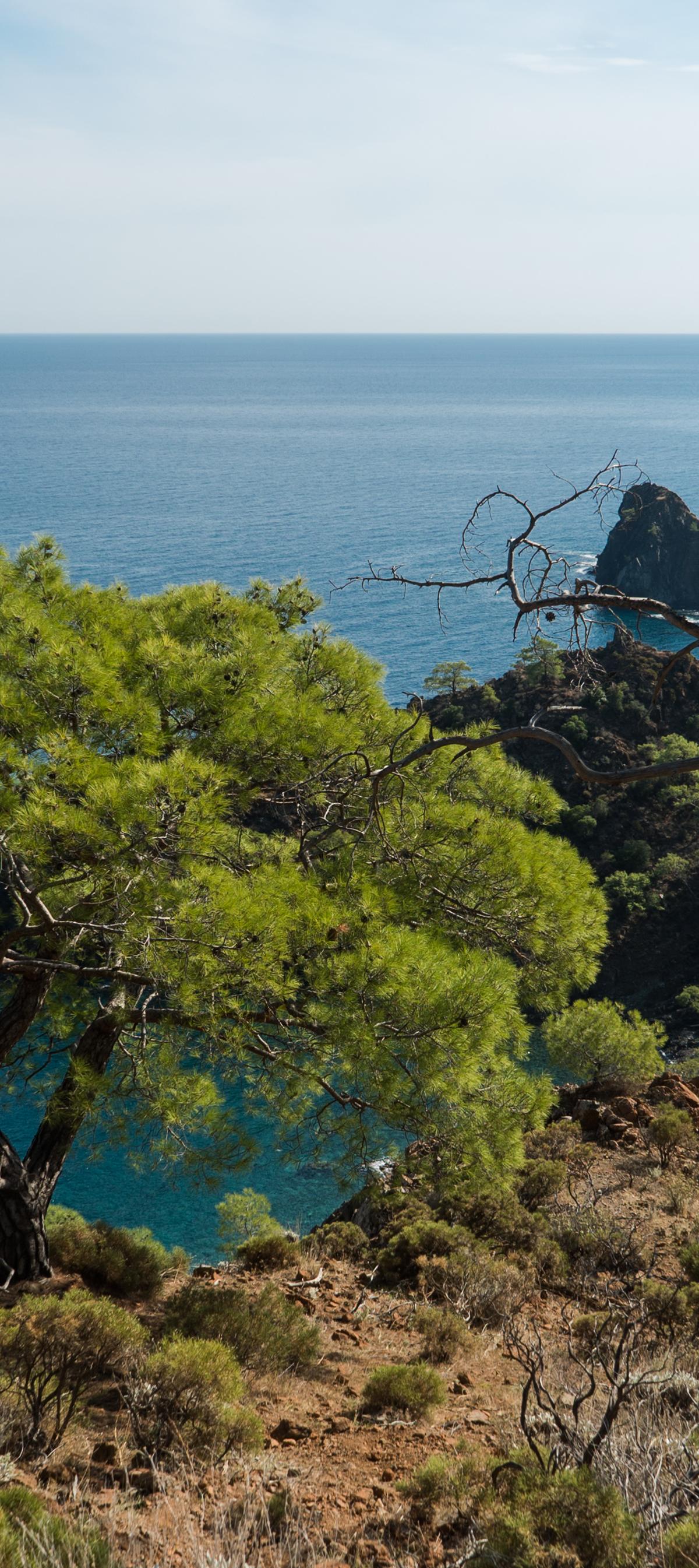 Lycian Way Section Hiking 2026: Best 3-to-5 Day Solo Routes - Turkey travel guide, tips and tour insights | My Turkey Adventure