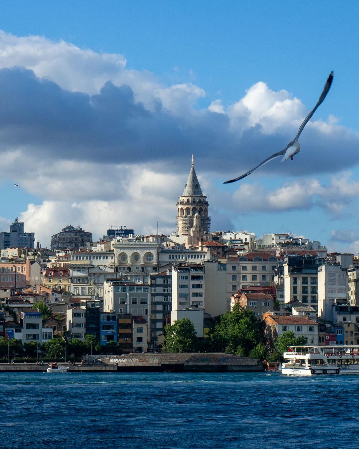 TourRadar Turkey Tours vs Booking Direct: Honest 2026 Comparison - Turkey travel guide, tips and tour insights | My Turkey Adventure