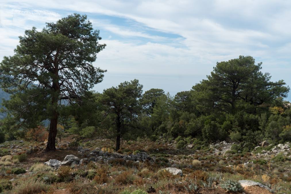 Lycian Way Packing List 2026: Spring & Autumn Trekking Essentials - Turkey travel guide, tips and tour insights | My Turkey Adventure
