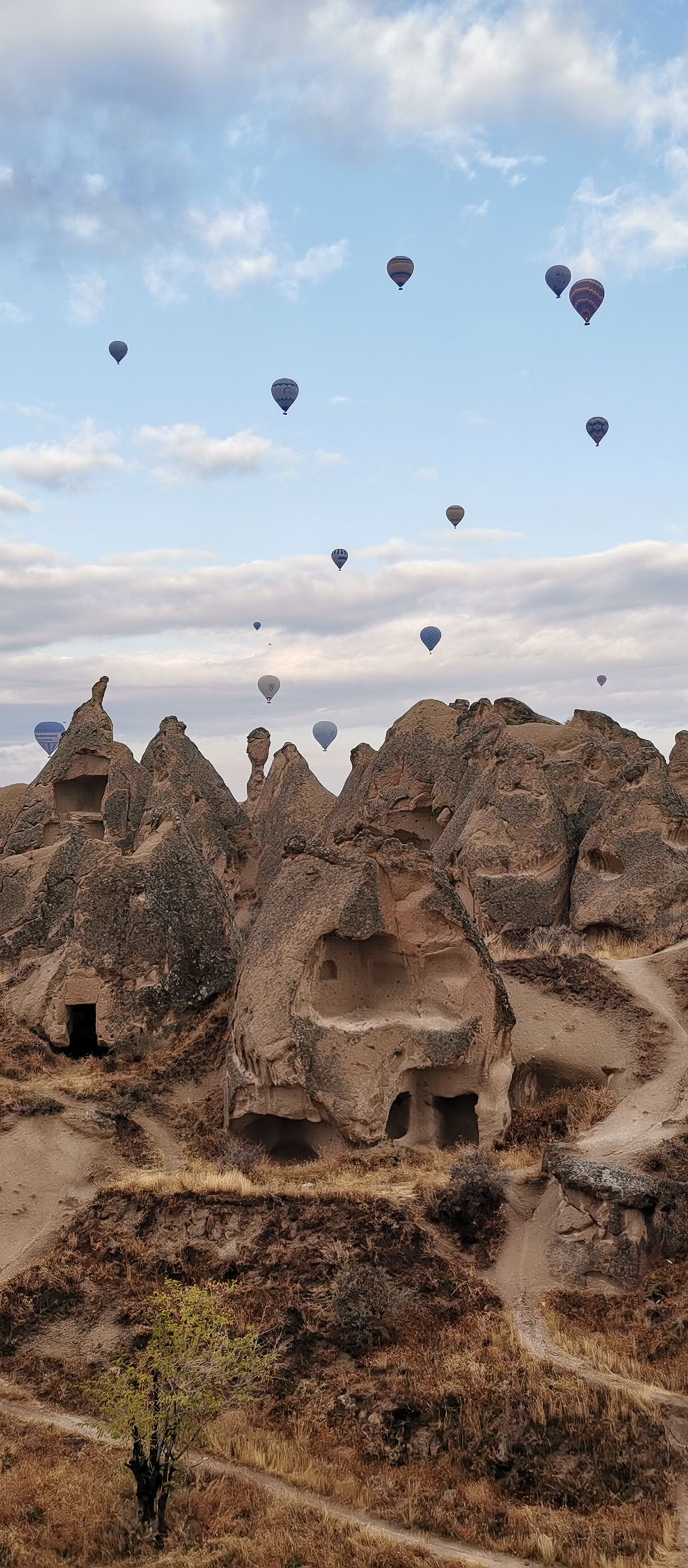 Turkey Tours from New Zealand 2026: Complete Kiwi Traveller Guide - Turkey travel guide, tips and tour insights | My Turkey Adventure