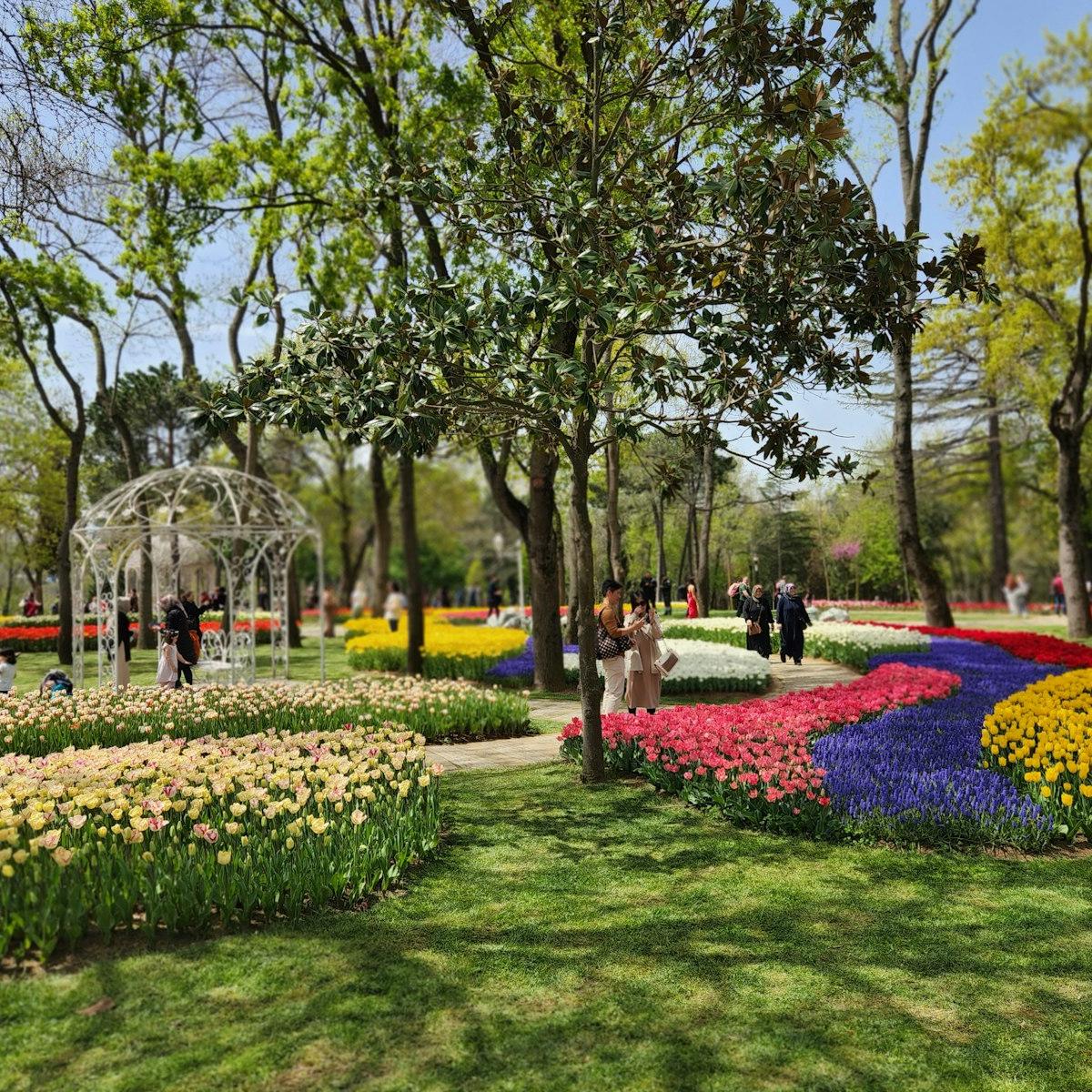 Istanbul Tulip Festival in April: Where to See Tulips and What to Do - Turkey travel guide, tips and tour insights | My Turkey Adventure
