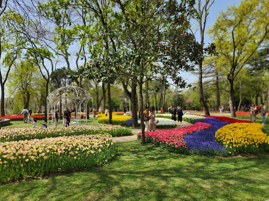 Istanbul Tulip Festival in April: Where to See Tulips and What to Do - Turkey travel guide, tips and tour insights | My Turkey Adventure