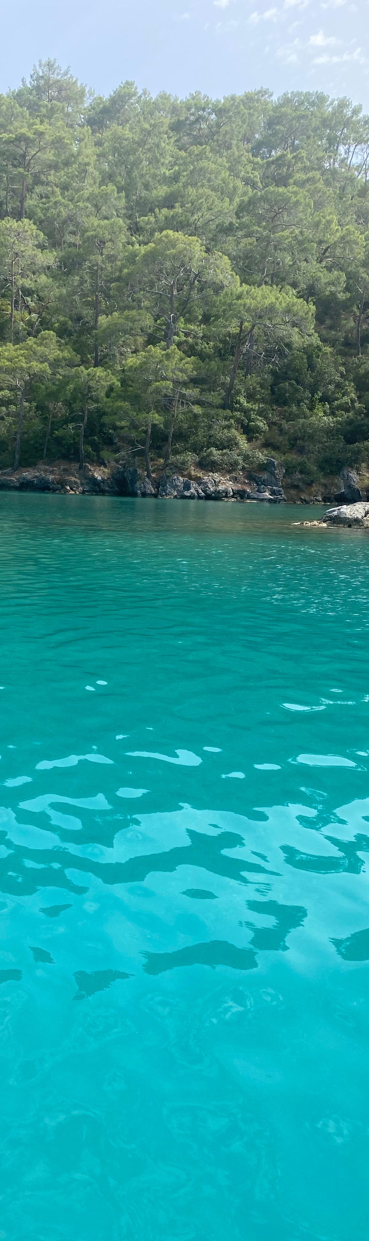 Paragliding Ölüdeniz and Lycian Way Hiking Tours (2026) - Turkey travel guide, tips and tour insights | My Turkey Adventure