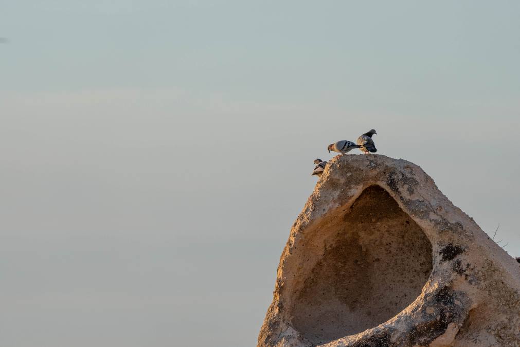 Best Time to Visit Cappadocia: Balloon Odds, Weather & Prices Month-by-Month - Turkey travel guide, tips and tour insights | My Turkey Adventure