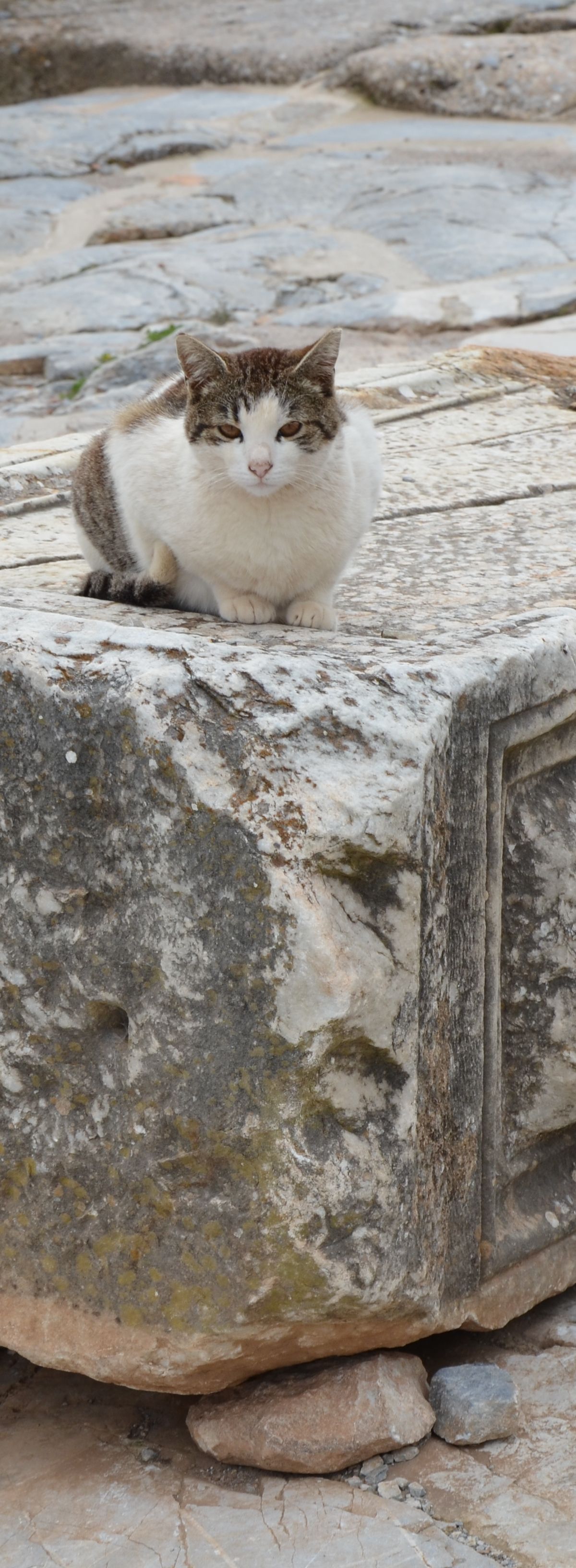 Senior Travelers in Turkey: Accessibility, Pace and Comfort Guide - Turkey travel guide, tips and tour insights | My Turkey Adventure