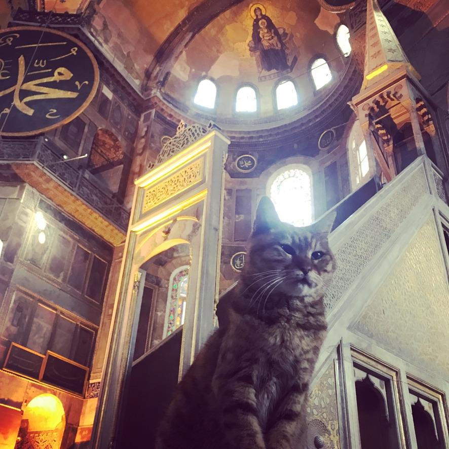 Istanbul in a Day – Private Tour of the City's Greatest Landmarks