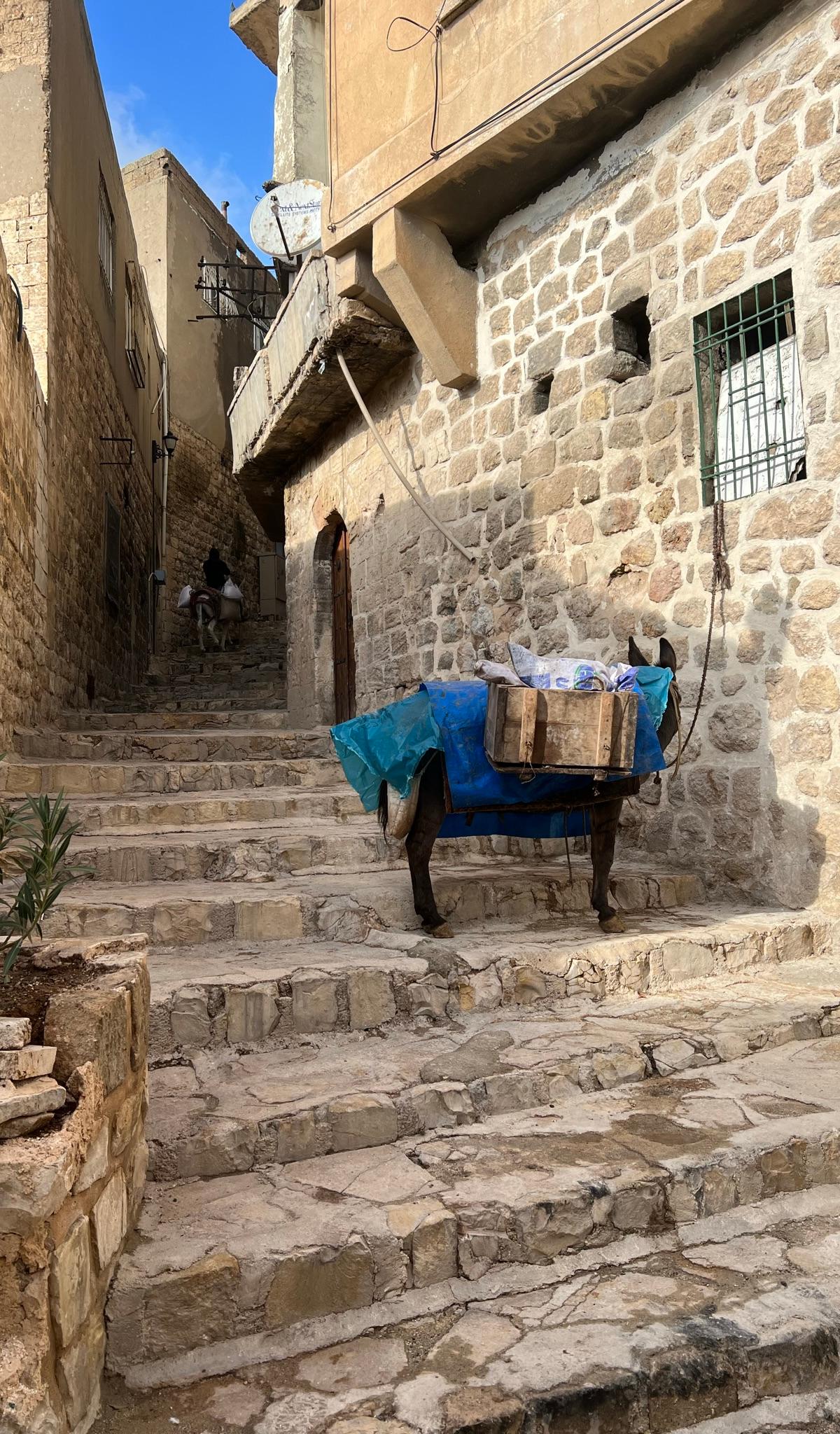 Mardin in 2 Days 2026: Old City, Monasteries & Mesopotamia Views - Turkey travel guide, tips and tour insights | My Turkey Adventure