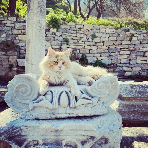 Ephesus for Seniors: Lower Gate Access, Golf Carts & Shaded Routes - Turkey travel guide, tips and tour insights | My Turkey Adventure